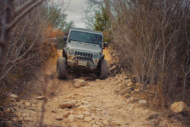 Off-Road Vehicle
