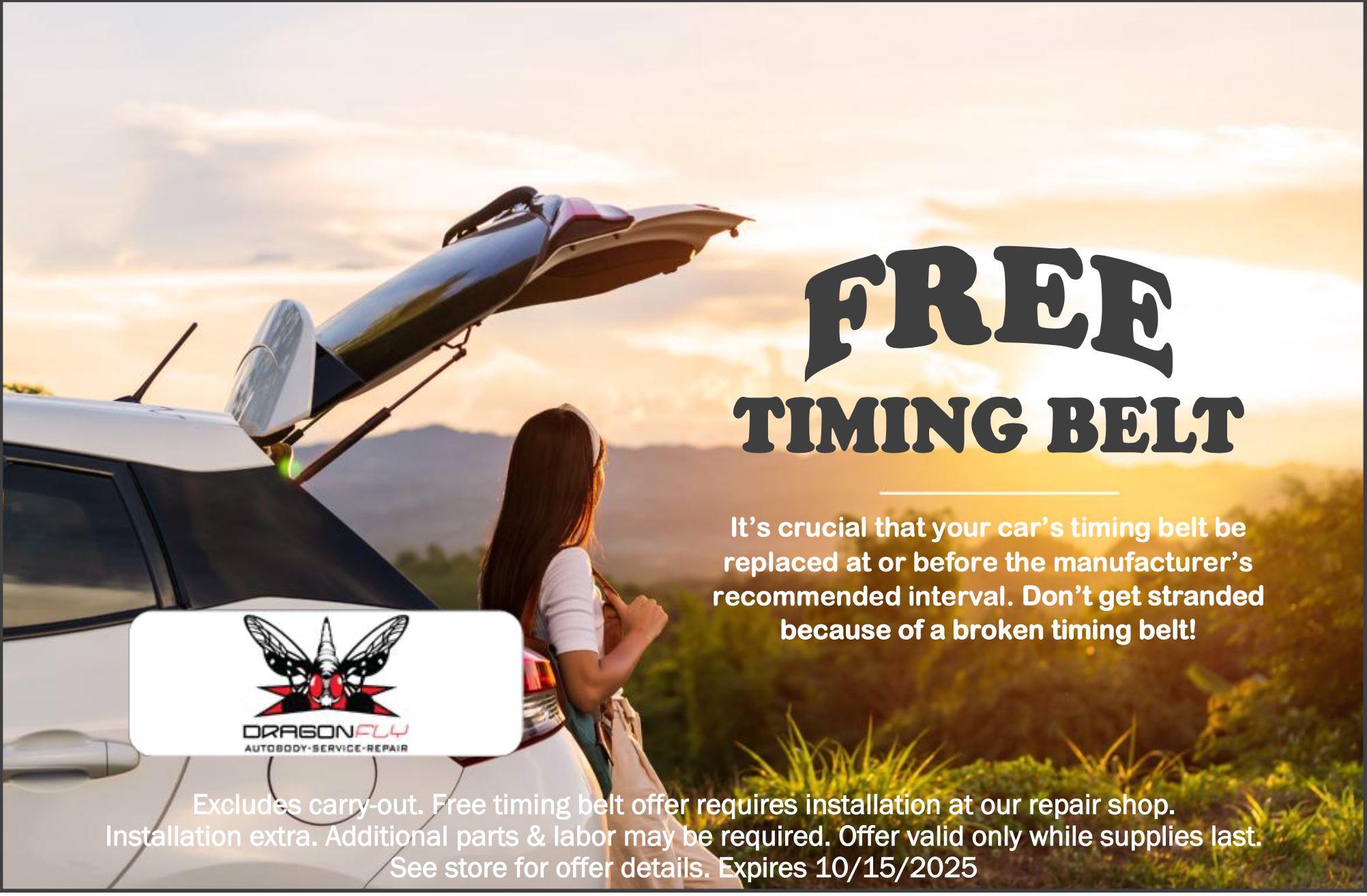 Free Timing Belt | Dragonfly Automotive
